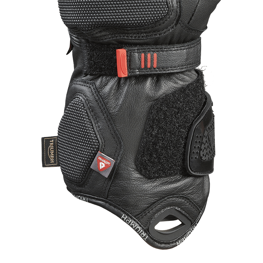 Alder 2 GTX Dual Chamber Glove photo 16