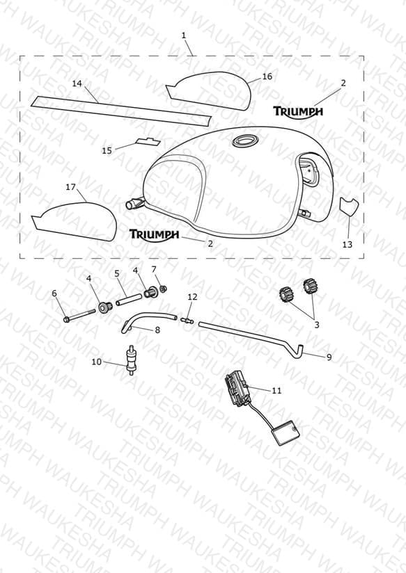 Assembly schematic