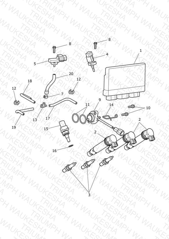 Assembly schematic