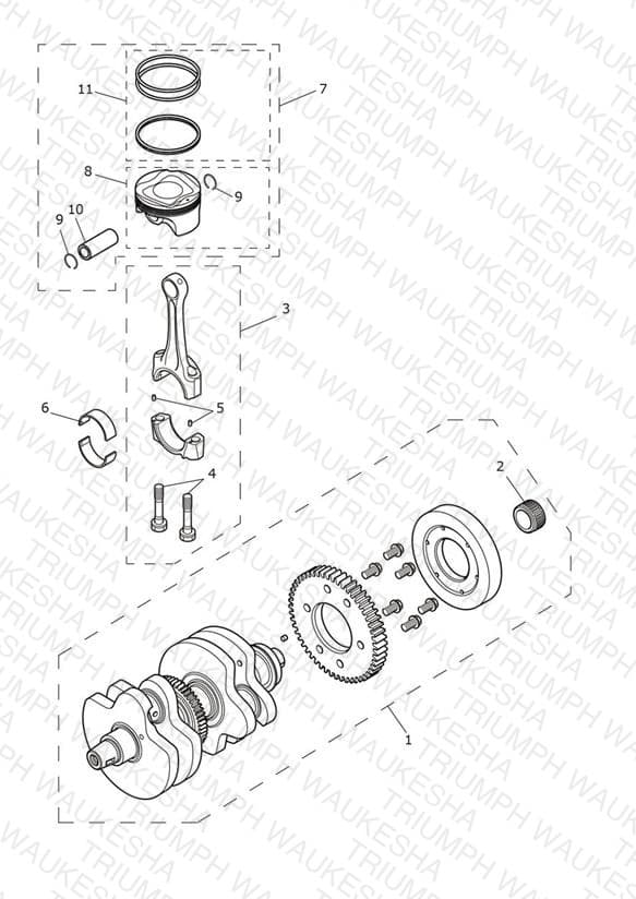 Assembly schematic
