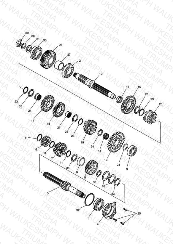 Assembly schematic