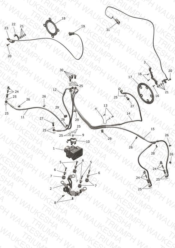 Assembly schematic