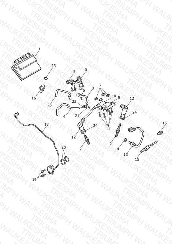 Assembly schematic