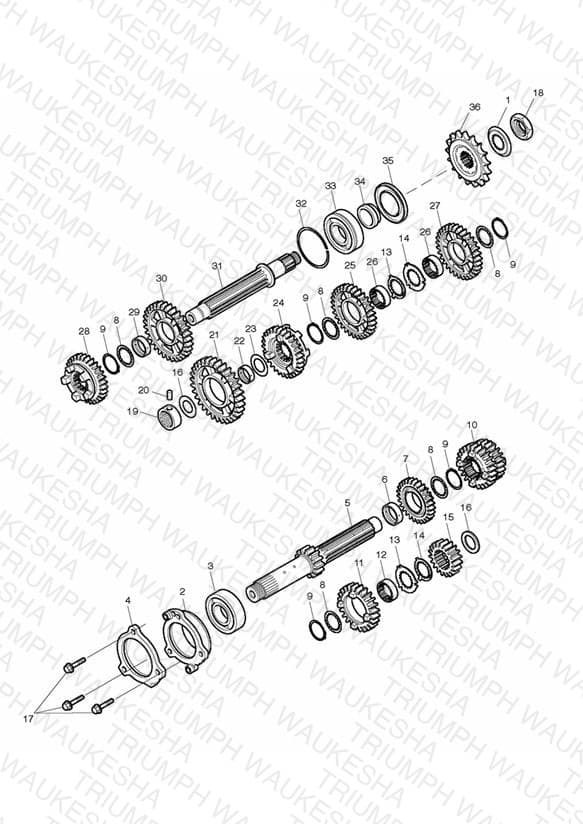 Assembly schematic
