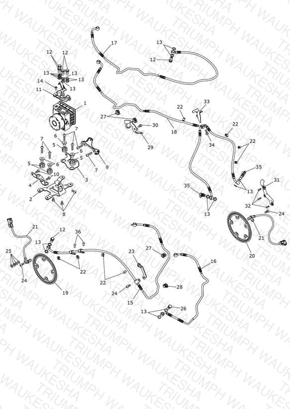 Assembly schematic