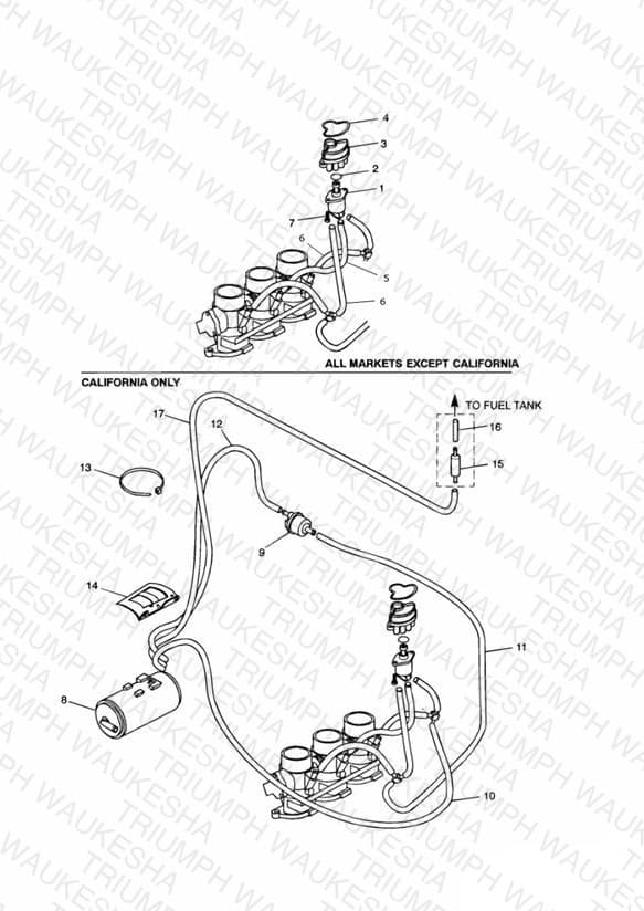 Assembly schematic