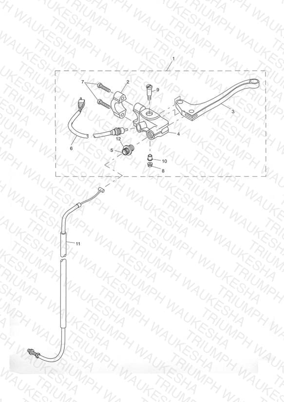 Assembly schematic