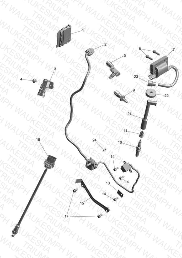 Assembly schematic