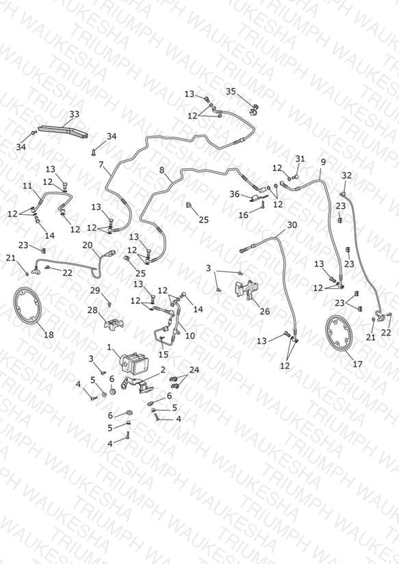 Assembly schematic