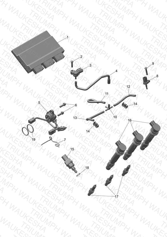 Assembly schematic