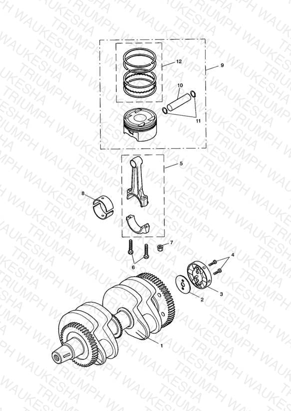 Assembly schematic