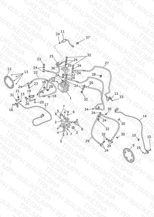 Assembly schematic