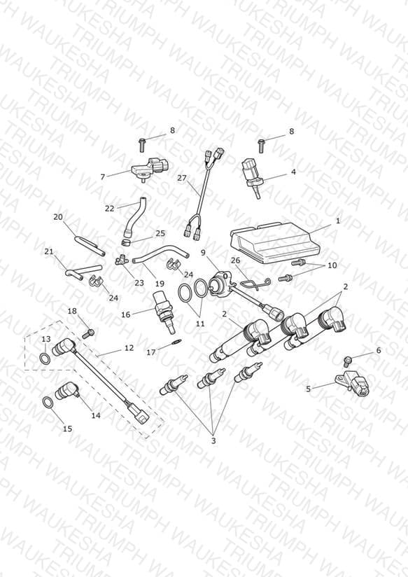 Assembly schematic