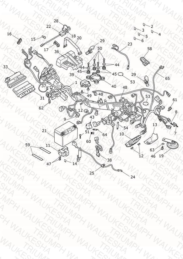 Assembly schematic