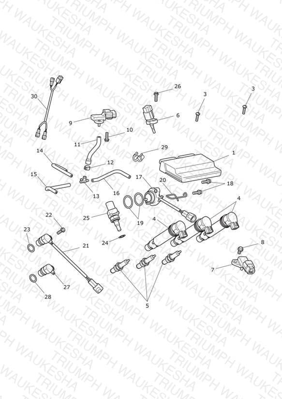 Assembly schematic