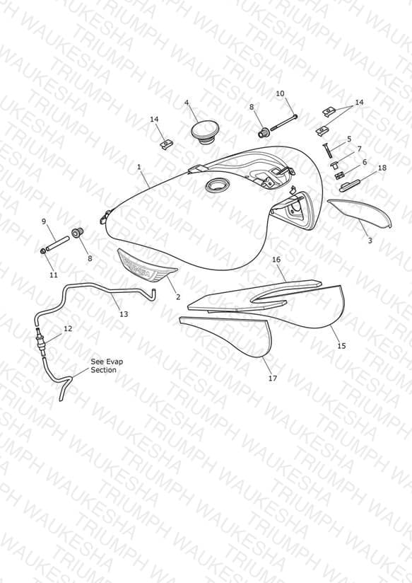 Assembly schematic
