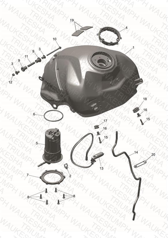 Assembly schematic