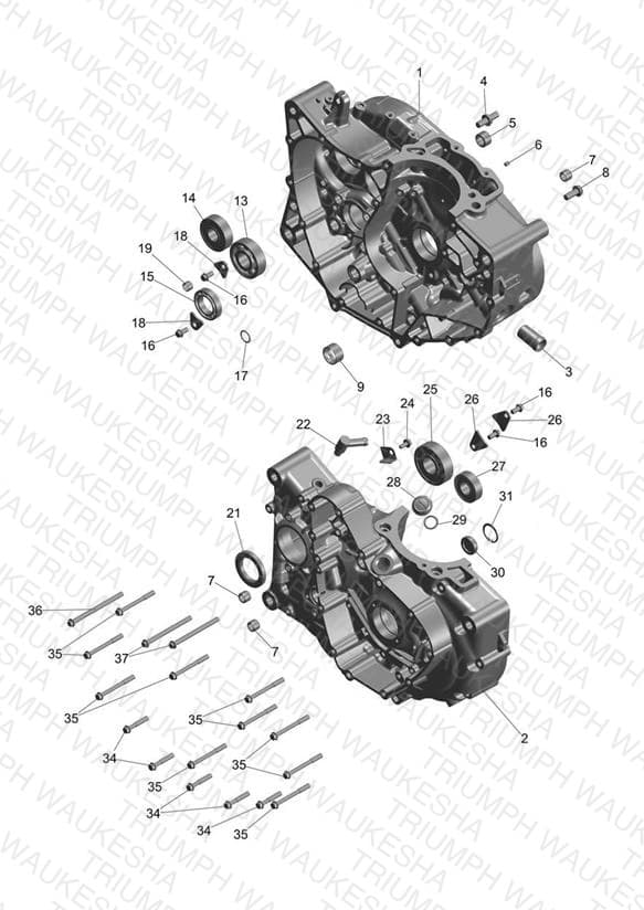 Assembly schematic