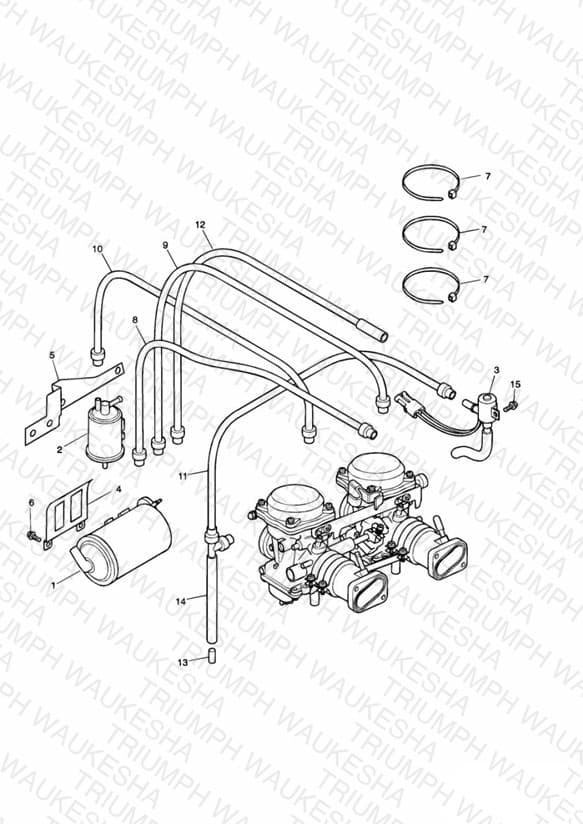 Assembly schematic
