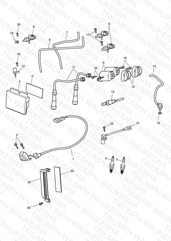 Assembly schematic