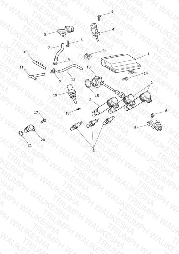 Assembly schematic
