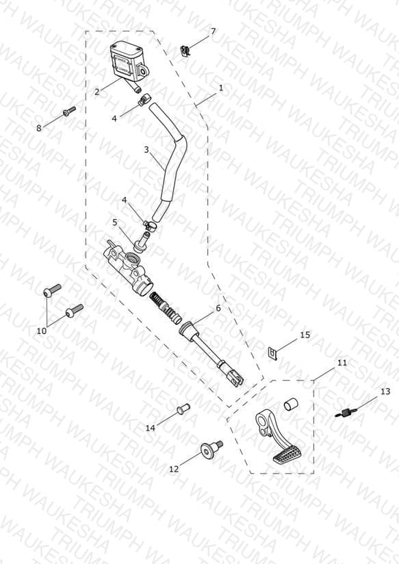 Assembly schematic