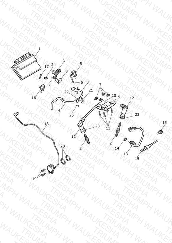 Assembly schematic