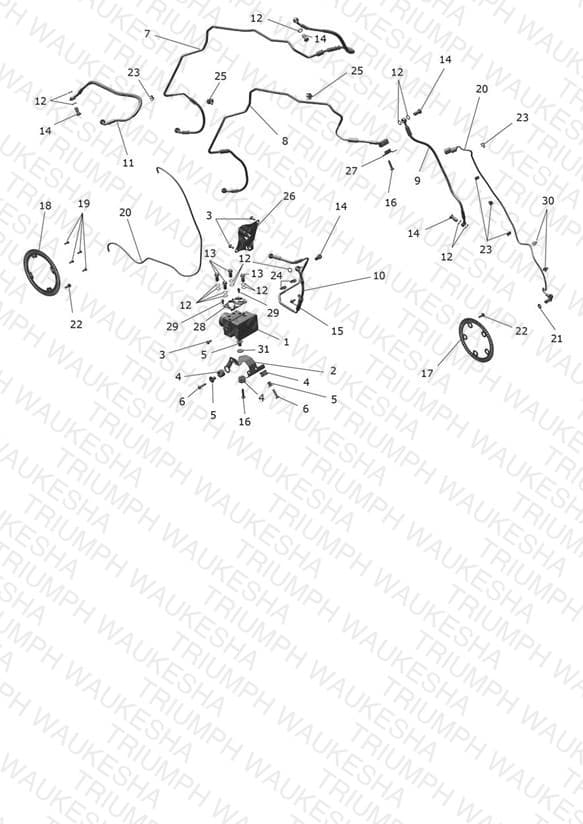 Assembly schematic