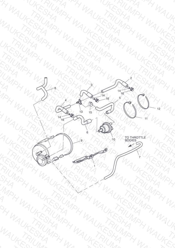 Assembly schematic