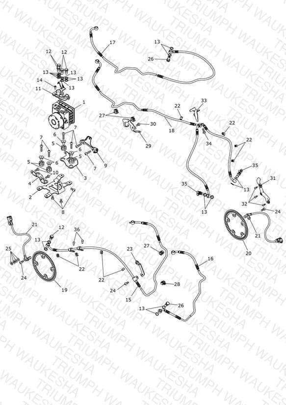Assembly schematic