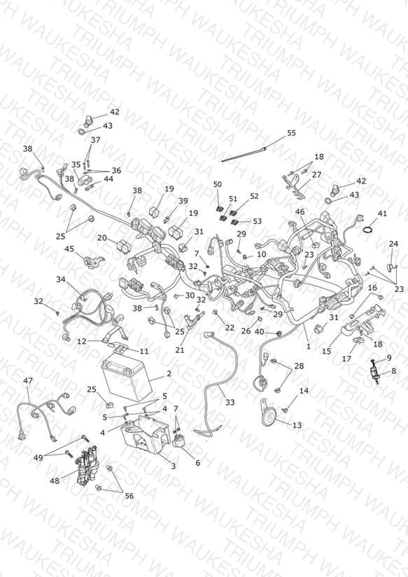 Assembly schematic
