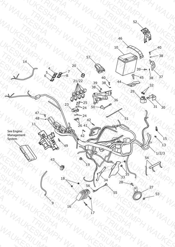 Assembly schematic