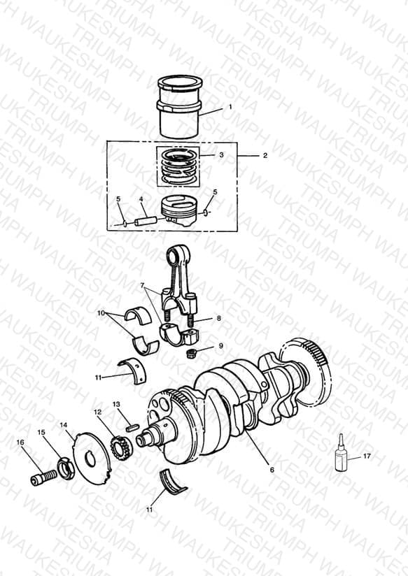 Assembly schematic
