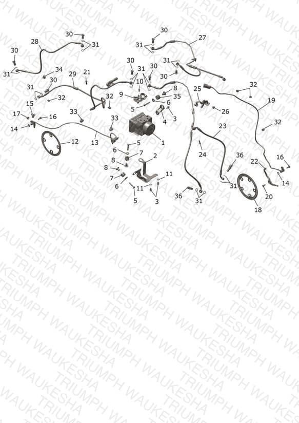 Assembly schematic