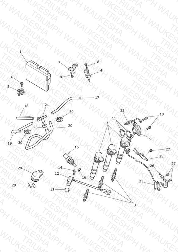 Assembly schematic