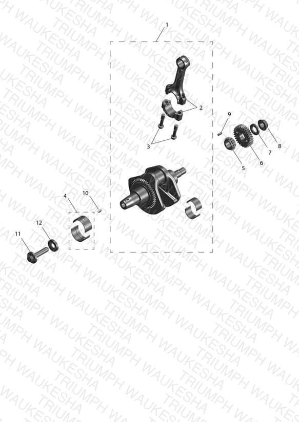 Assembly schematic