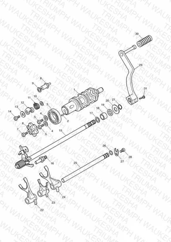 Assembly schematic