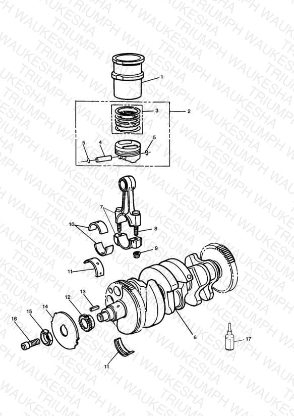 Assembly schematic