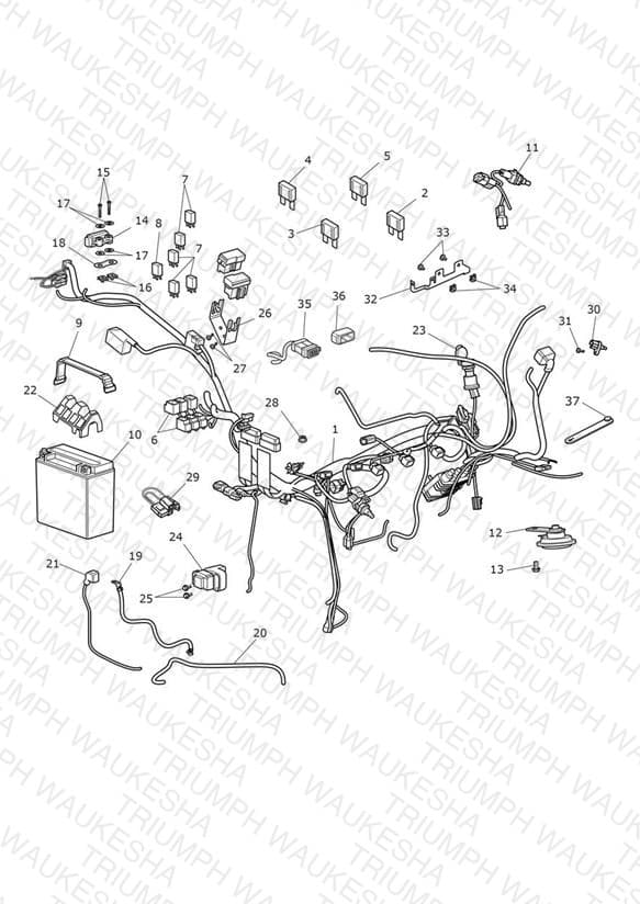 Assembly schematic