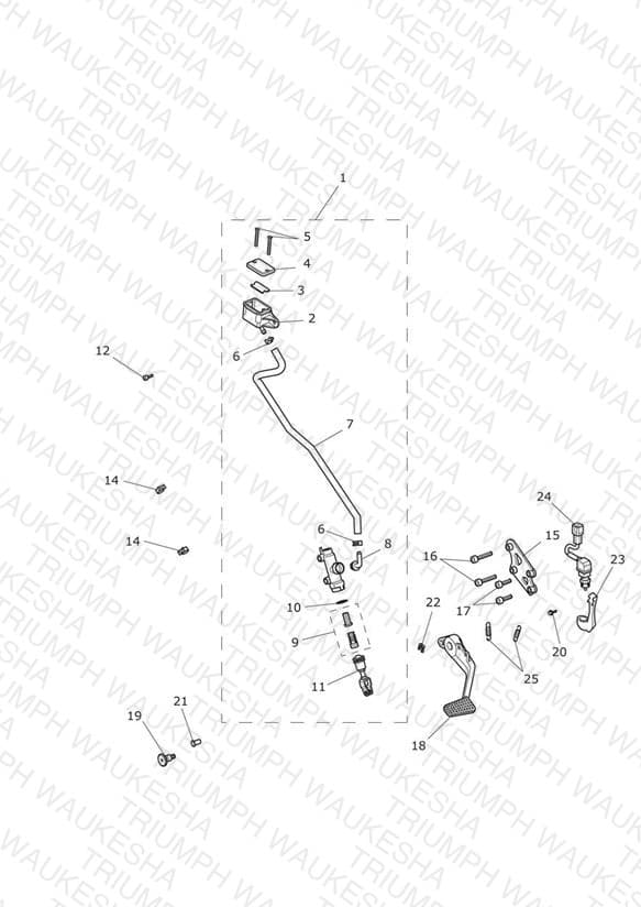 Assembly schematic