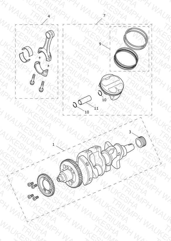 Assembly schematic