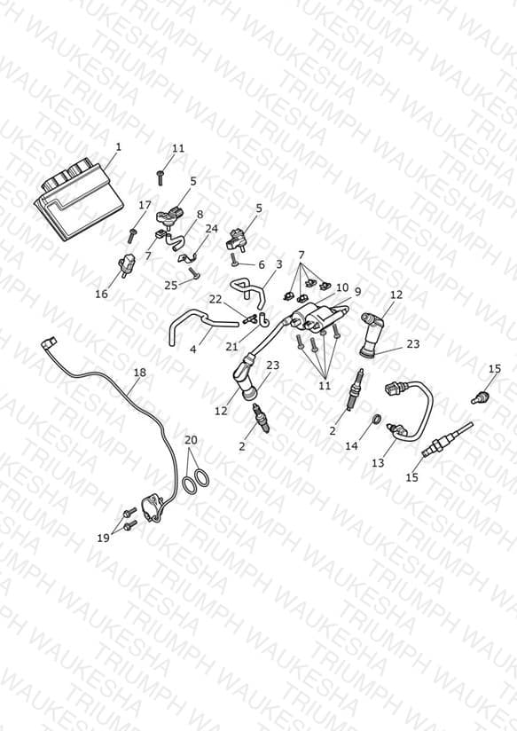 Assembly schematic