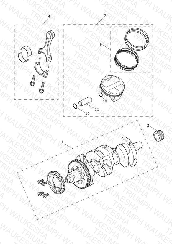 Assembly schematic