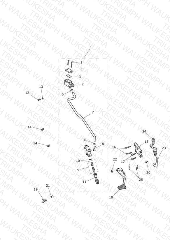 Assembly schematic