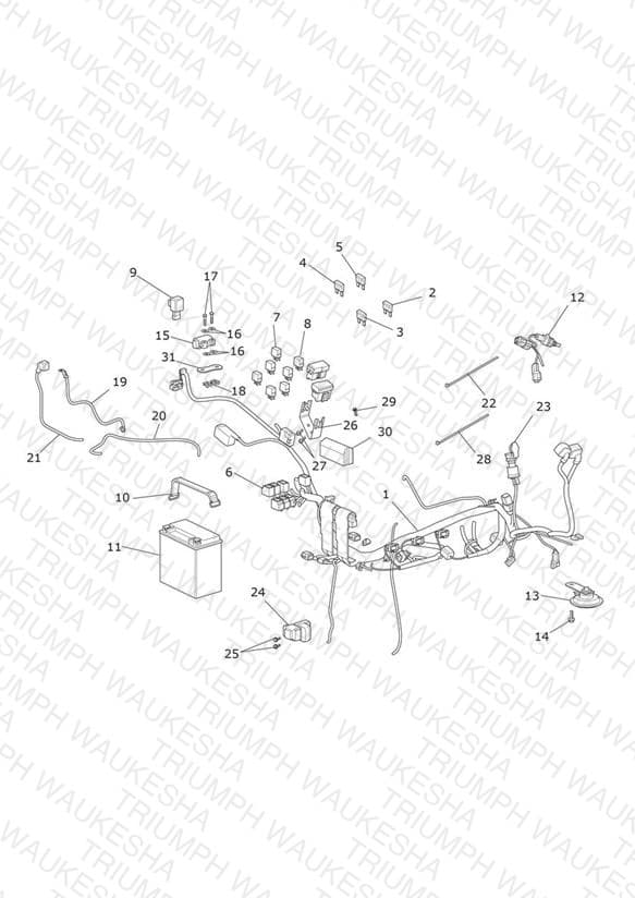 Assembly schematic