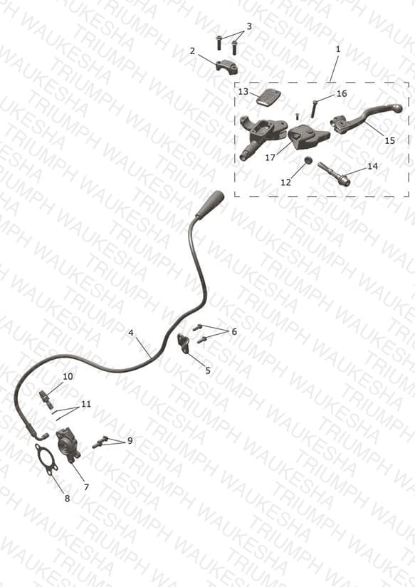 Assembly schematic
