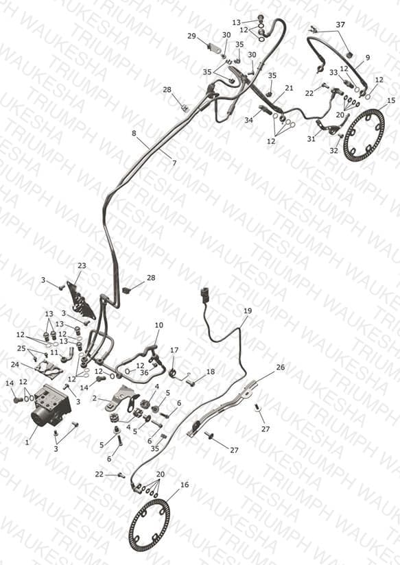 Assembly schematic
