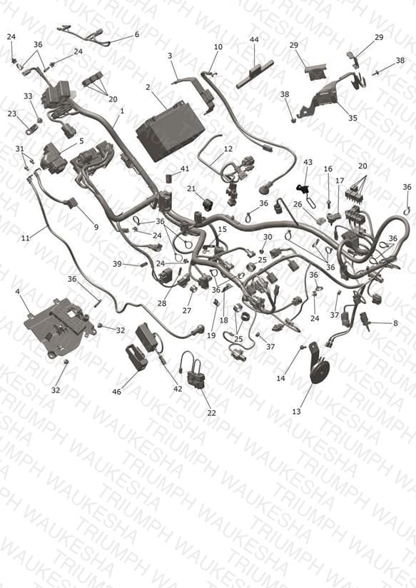 Assembly schematic