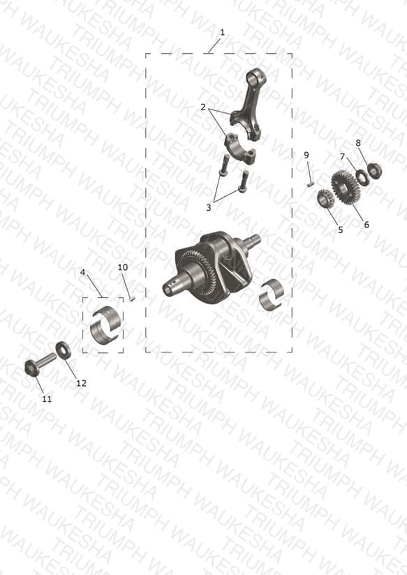Assembly schematic