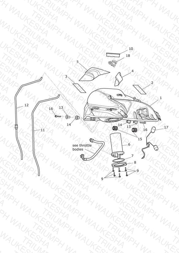Assembly schematic
